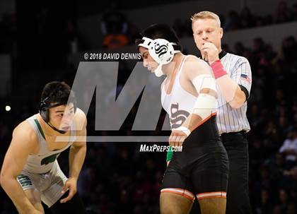 Thumbnail 1 in CIF State Boys Wrestling Championships (Finals) photogallery.