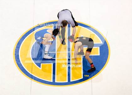 Thumbnail 1 in CIF State Boys Wrestling Championships (Finals) photogallery.