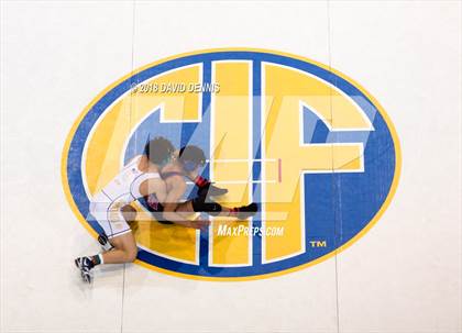 Thumbnail 2 in CIF State Boys Wrestling Championships (Finals) photogallery.