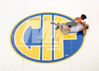 Thumbnail 3 in CIF State Boys Wrestling Championships (Finals) photogallery.