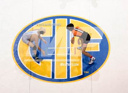 Thumbnail 3 in CIF State Boys Wrestling Championships (Finals) photogallery.