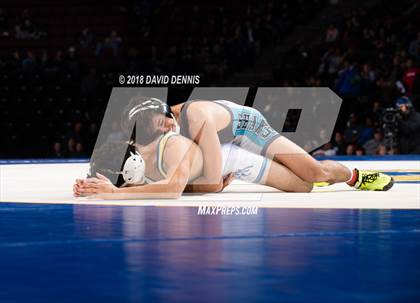 Thumbnail 3 in CIF State Boys Wrestling Championships (Finals) photogallery.