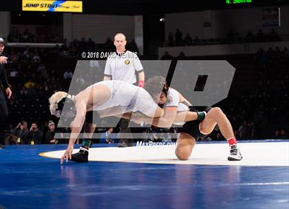 Thumbnail 2 in CIF State Boys Wrestling Championships (Finals) photogallery.