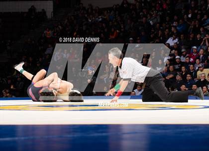 Thumbnail 2 in CIF State Boys Wrestling Championships (Finals) photogallery.