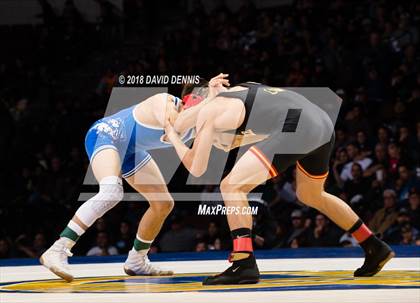 Thumbnail 1 in CIF State Boys Wrestling Championships (Finals) photogallery.