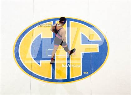 Thumbnail 2 in CIF State Boys Wrestling Championships (Finals) photogallery.