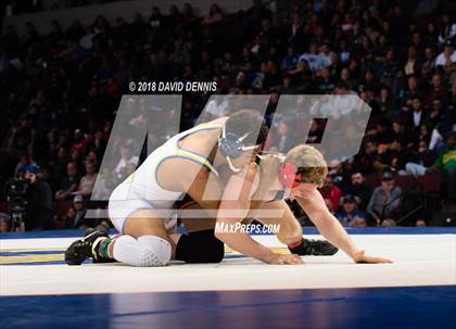 Thumbnail 1 in CIF State Boys Wrestling Championships (Finals) photogallery.