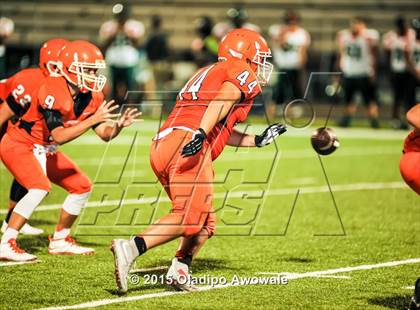 Thumbnail 1 in Naaman Forest @ Rockwall photogallery.