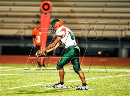 Thumbnail 3 in Naaman Forest @ Rockwall photogallery.
