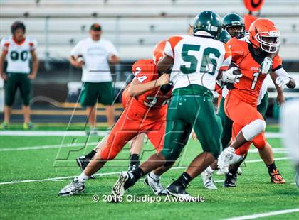 Thumbnail 3 in Naaman Forest @ Rockwall photogallery.