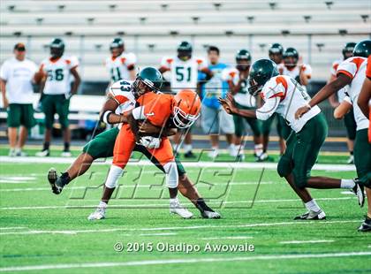 Thumbnail 3 in Naaman Forest @ Rockwall photogallery.