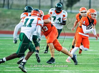 Thumbnail 3 in Naaman Forest @ Rockwall photogallery.