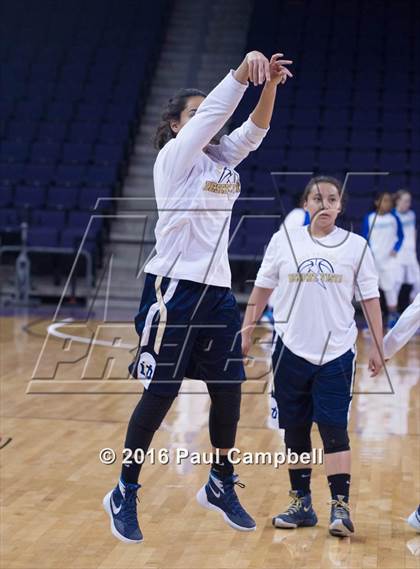 Thumbnail 1 in Desert Vista vs Mesquite (AIA D1 Semifinal) photogallery.