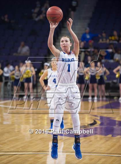 Thumbnail 1 in Desert Vista vs Mesquite (AIA D1 Semifinal) photogallery.
