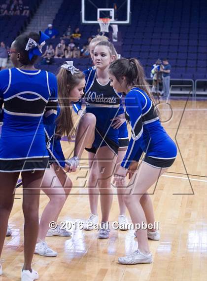 Thumbnail 1 in Desert Vista vs Mesquite (AIA D1 Semifinal) photogallery.