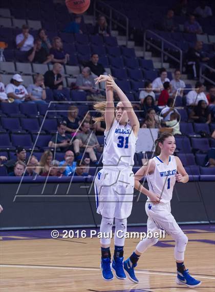Thumbnail 3 in Desert Vista vs Mesquite (AIA D1 Semifinal) photogallery.