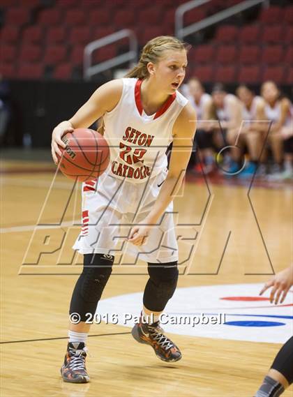 Thumbnail 1 in Mesa vs Seton Catholic (AIA D2 Semifinal) photogallery.