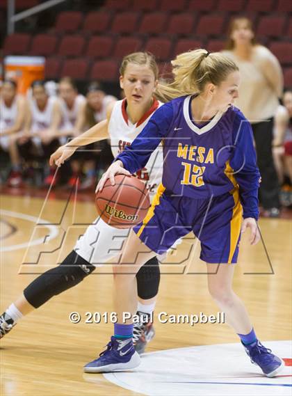 Thumbnail 1 in Mesa vs Seton Catholic (AIA D2 Semifinal) photogallery.