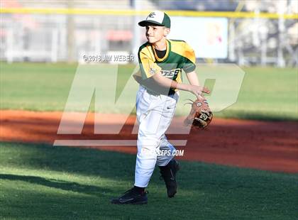 Thumbnail 3 in Cypress Creek @ Zephyrhills photogallery.