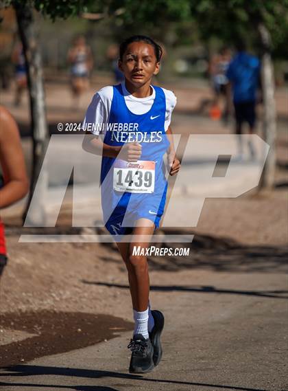 Thumbnail 3 in NIAA 2A  Southern Regionals photogallery.