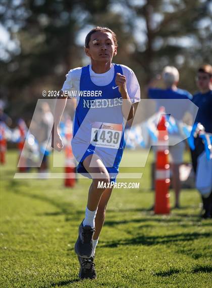 Thumbnail 2 in NIAA 2A  Southern Regionals photogallery.