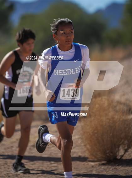 Thumbnail 3 in NIAA 2A  Southern Regionals photogallery.