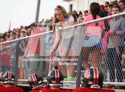Thumbnail 3 in Pulaski Academy @ Ravenwood photogallery.