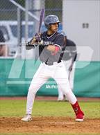 Photo from the gallery "Bloomingdale @ Sumner"