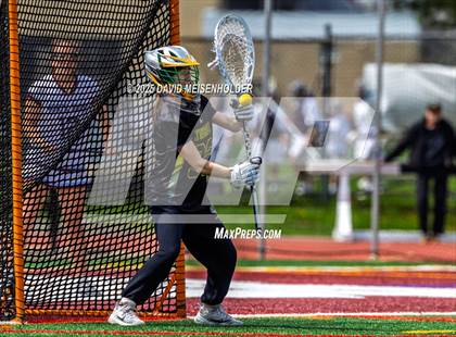 Thumbnail 1 in Lynbrook & North Shore photogallery.
