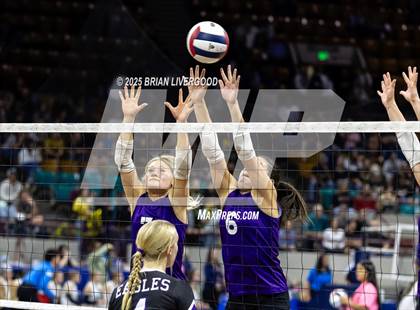 Thumbnail 2 in Bayfield vs. Stargate School (CHSAA 3A First Round) photogallery.