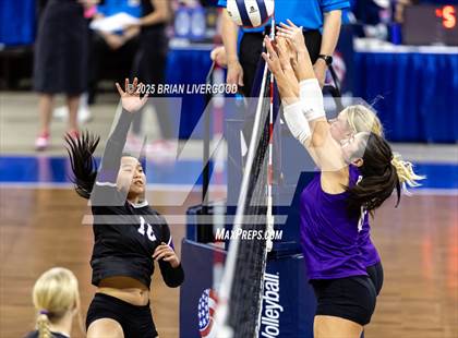 Thumbnail 3 in Bayfield vs. Stargate School (CHSAA 3A First Round) photogallery.