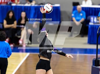 Thumbnail 3 in Bayfield vs. Stargate School (CHSAA 3A First Round) photogallery.