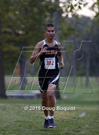 Thumbnail 1 in Allen County Cross Country Meet photogallery.
