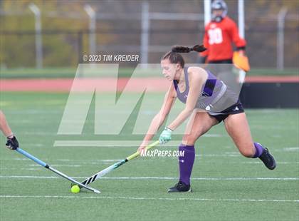 Thumbnail 1 in Northern York vs Palmyra (PIAA District 3 2A Final) photogallery.