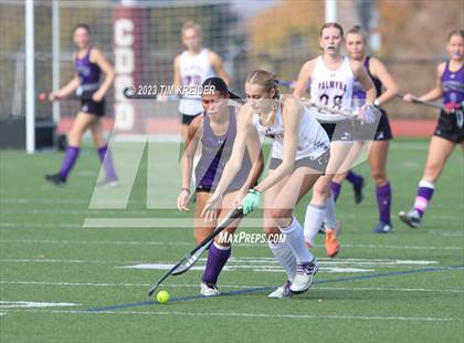 Thumbnail 1 in Northern York vs Palmyra (PIAA District 3 2A Final) photogallery.