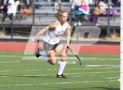 Thumbnail 2 in Northern York vs Palmyra (PIAA District 3 2A Final) photogallery.