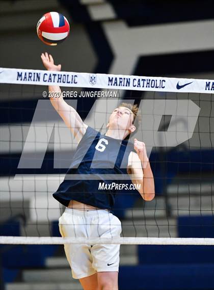 Thumbnail 3 in Bentley @ Marin Catholic photogallery.