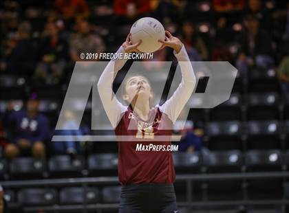 Thumbnail 1 in Collinsville vs. Trenton photogallery.