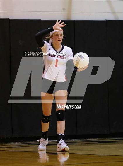 Thumbnail 1 in Collinsville vs. Trenton photogallery.