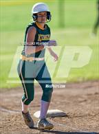 Photo from the gallery "Chavez @ Kennedy"