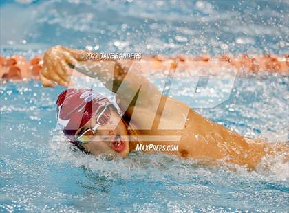 Thumbnail 2 in UIL 5A State Varsity Swim and Dive Finals photogallery.
