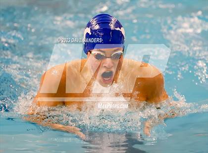 Thumbnail 3 in UIL 5A State Varsity Swim and Dive Finals photogallery.