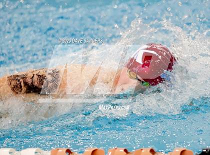 Thumbnail 2 in UIL 5A State Varsity Swim and Dive Finals photogallery.