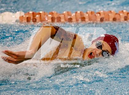 Thumbnail 2 in UIL 5A State Varsity Swim and Dive Finals photogallery.