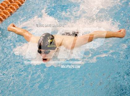Thumbnail 3 in UIL 5A State Varsity Swim and Dive Finals photogallery.