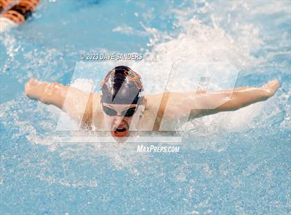 Thumbnail 3 in UIL 5A State Varsity Swim and Dive Finals photogallery.