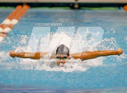 Thumbnail 3 in UIL 5A State Varsity Swim and Dive Finals photogallery.