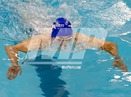 Thumbnail 1 in UIL 5A State Varsity Swim and Dive Finals photogallery.