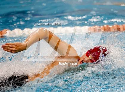 Thumbnail 3 in UIL 5A State Varsity Swim and Dive Finals photogallery.