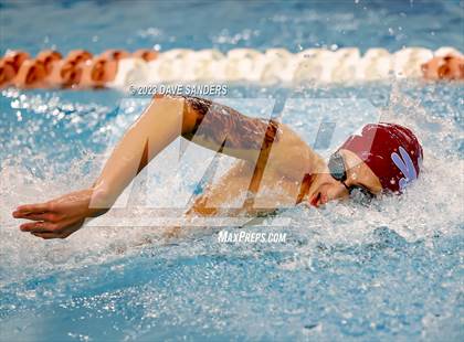 Thumbnail 3 in UIL 5A State Varsity Swim and Dive Finals photogallery.
